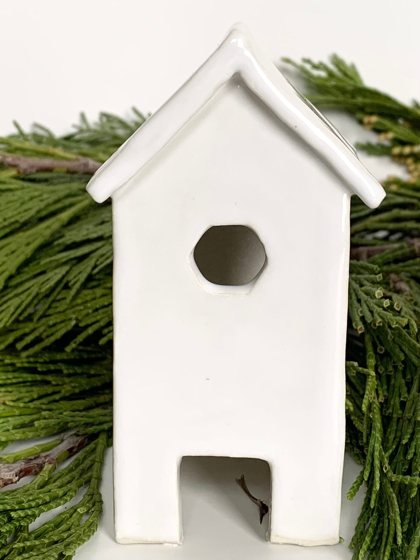 simple village house