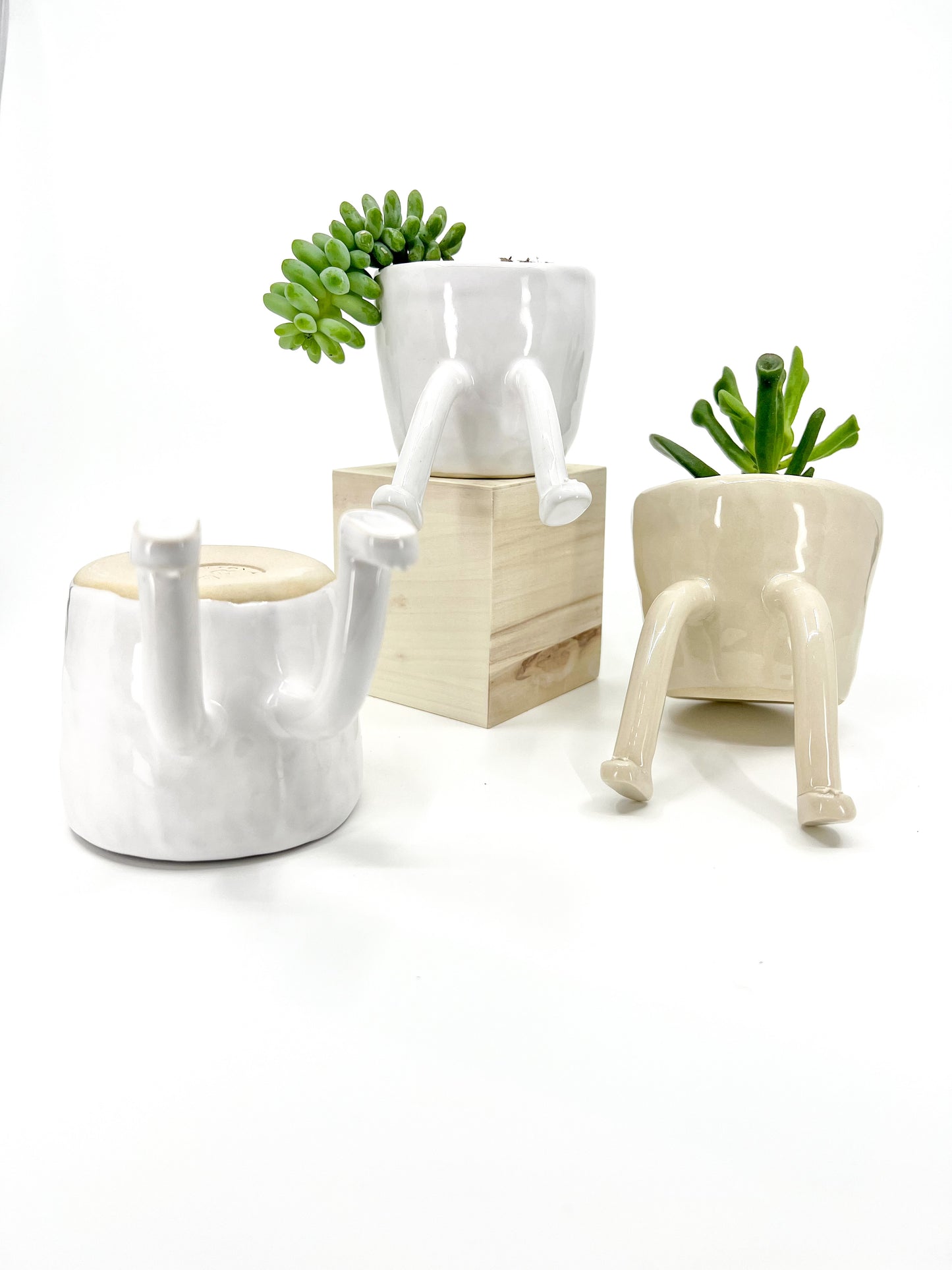 leggy planter - sneakers