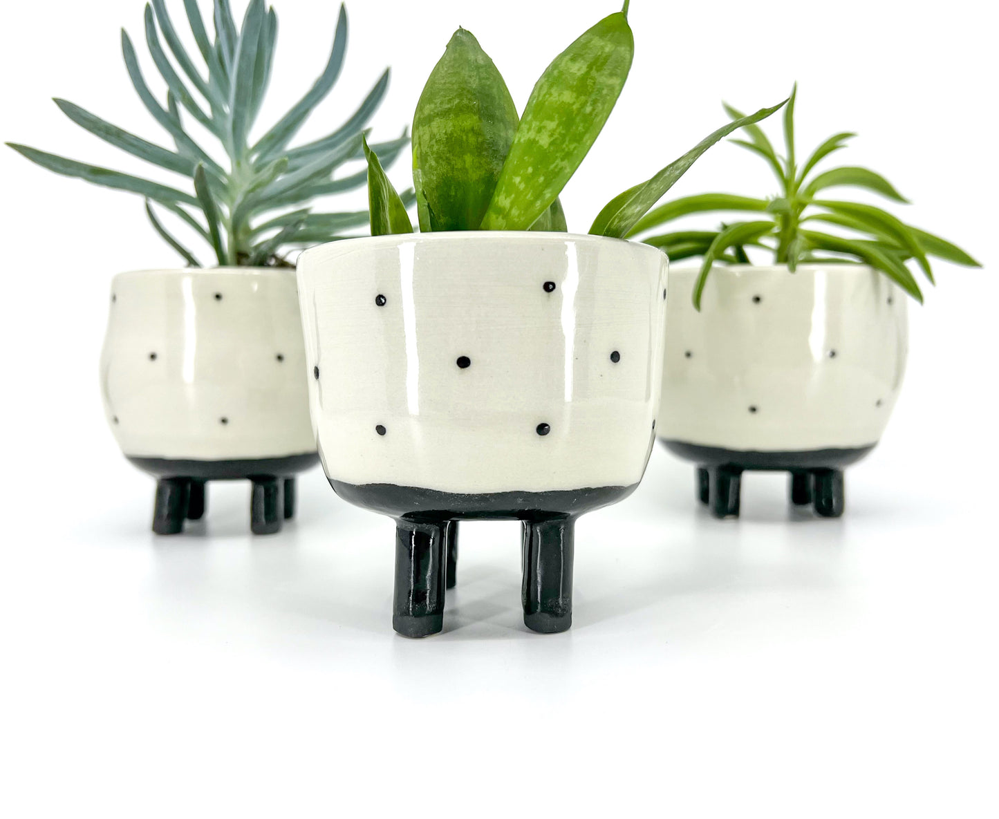 dottie pots