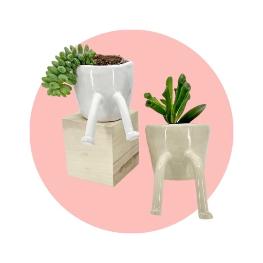 leggy planter - sneakers