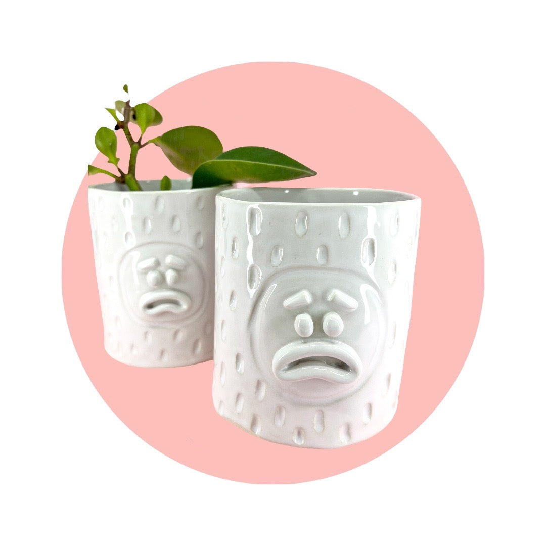 pouty planter