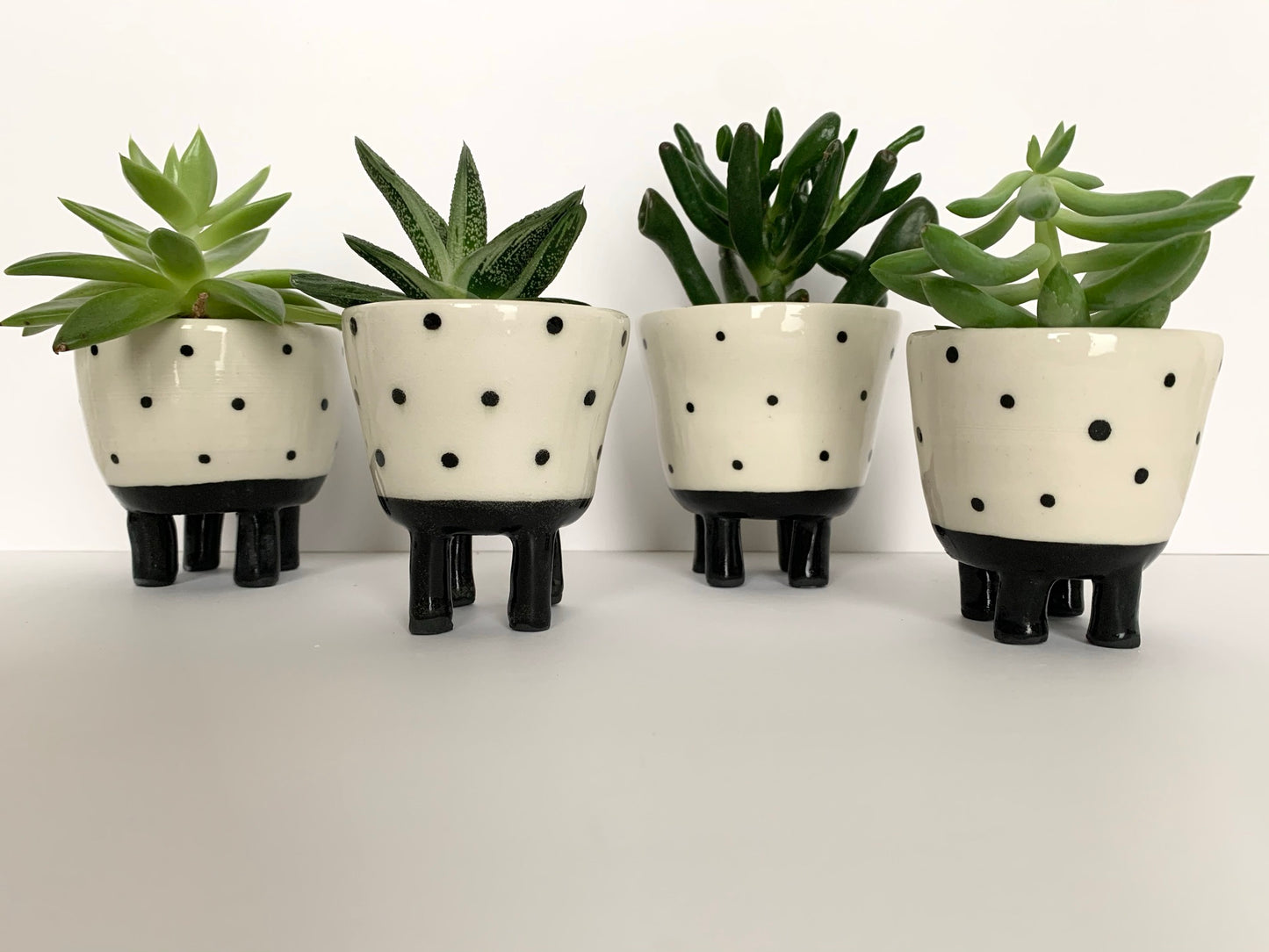 dottie pots