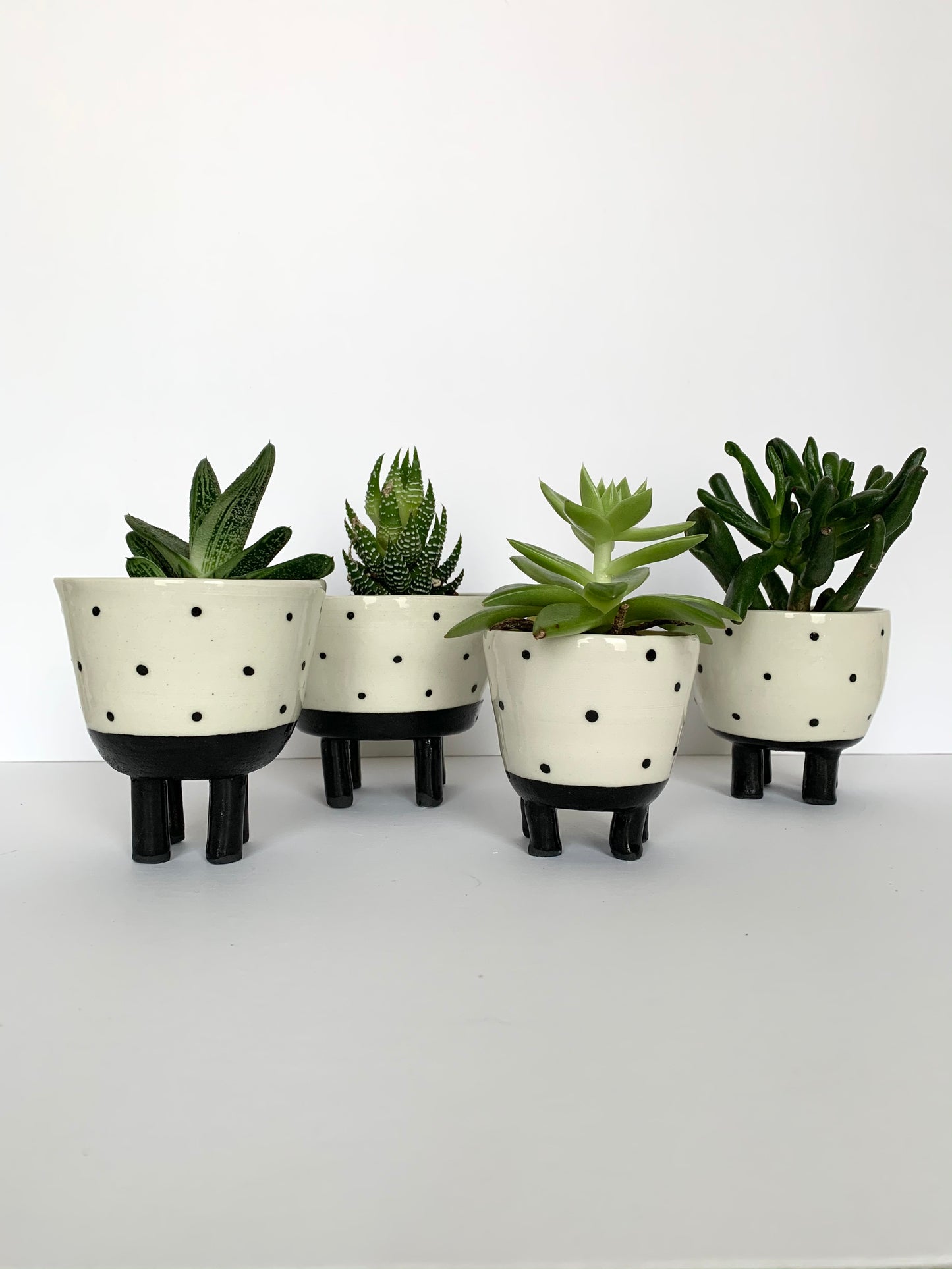 dottie pots