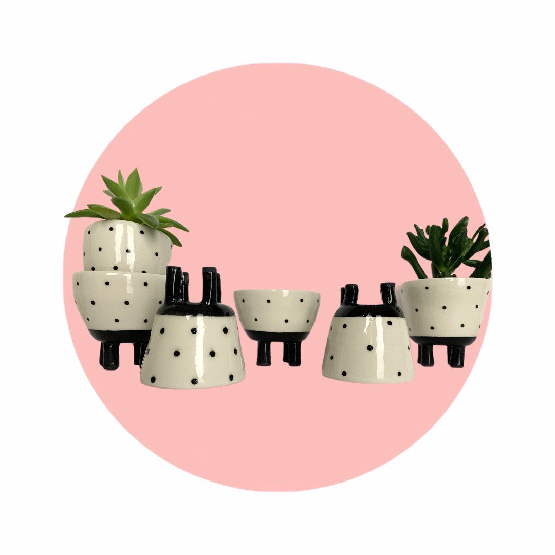 dottie pots